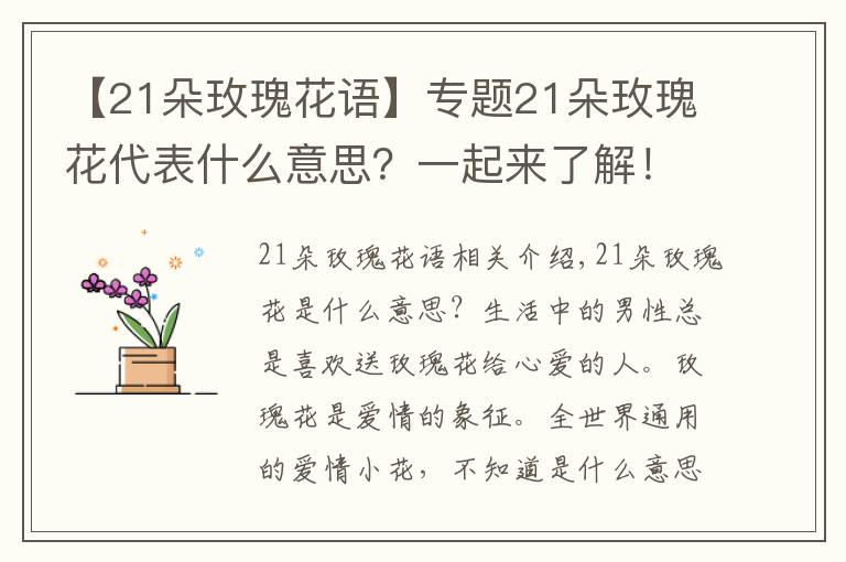 【21朵玫瑰花語】專題21朵玫瑰花代表什么意思？一起來了解！