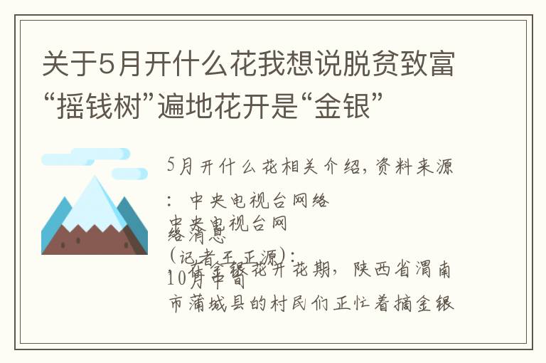 關(guān)于5月開什么花我想說脫貧致富“搖錢樹”遍地花開是“金銀”