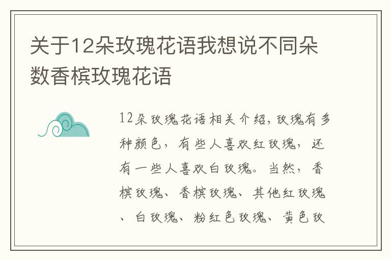 關(guān)于12朵玫瑰花語我想說不同朵數(shù)香檳玫瑰花語