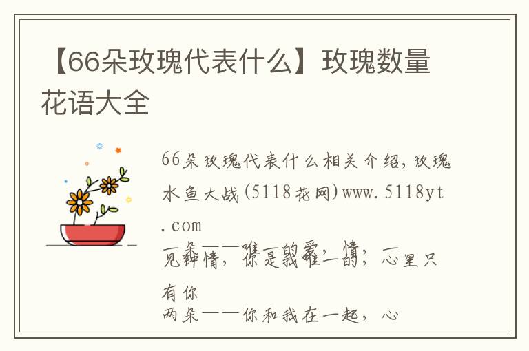 【66朵玫瑰代表什么】玫瑰數(shù)量花語大全