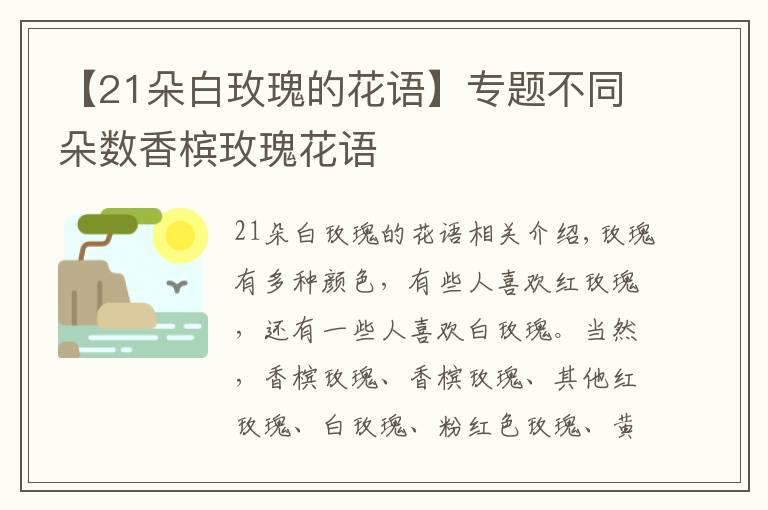 【21朵白玫瑰的花語】專題不同朵數(shù)香檳玫瑰花語