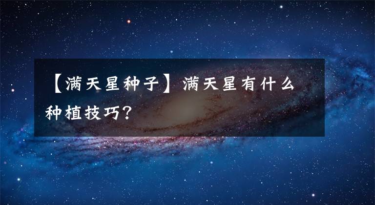 【滿天星種子】滿天星有什么種植技巧？