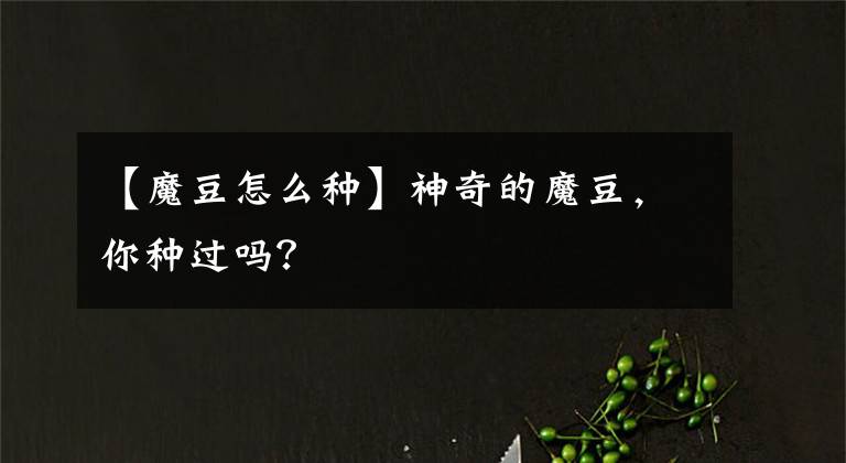 【魔豆怎么種】神奇的魔豆，你種過嗎？