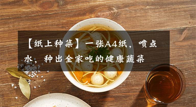 【紙上種菜】一張A4紙，噴點水，種出全家吃的健康蔬菜