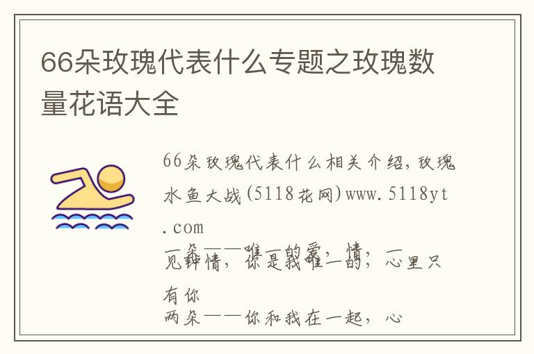 66朵玫瑰代表什么專題之玫瑰數(shù)量花語大全