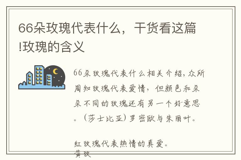 66朵玫瑰代表什么，干貨看這篇!玫瑰的含義