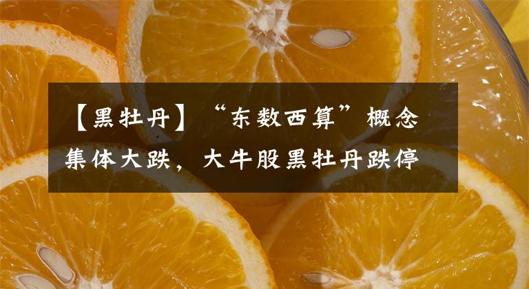 【黑牡丹】“東數(shù)西算”概念集體大跌，大牛股黑牡丹跌停