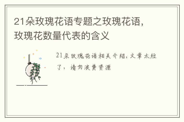 21朵玫瑰花語專題之玫瑰花語，玫瑰花數(shù)量代表的含義