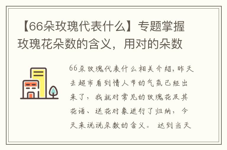 【66朵玫瑰代表什么】專(zhuān)題掌握玫瑰花朵數(shù)的含義，用對(duì)的朵數(shù)送對(duì)的人！