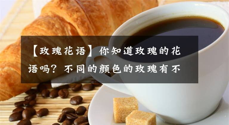 【玫瑰花語(yǔ)】你知道玫瑰的花語(yǔ)嗎？不同的顏色的玫瑰有不同的含義