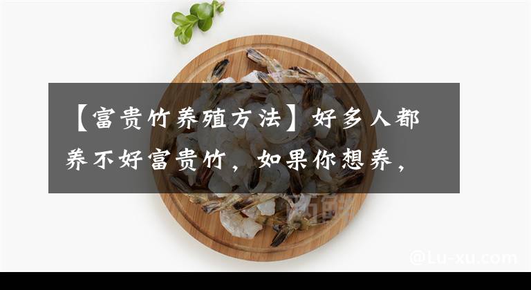 【富貴竹養(yǎng)殖方法】好多人都養(yǎng)不好富貴竹，如果你想養(yǎng)，掌握幾個技巧，現(xiàn)在養(yǎng)最合適