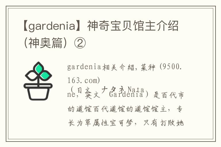 【gardenia】神奇寶貝館主介紹（神奧篇）②