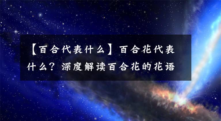 【百合代表什么】百合花代表什么？深度解讀百合花的花語