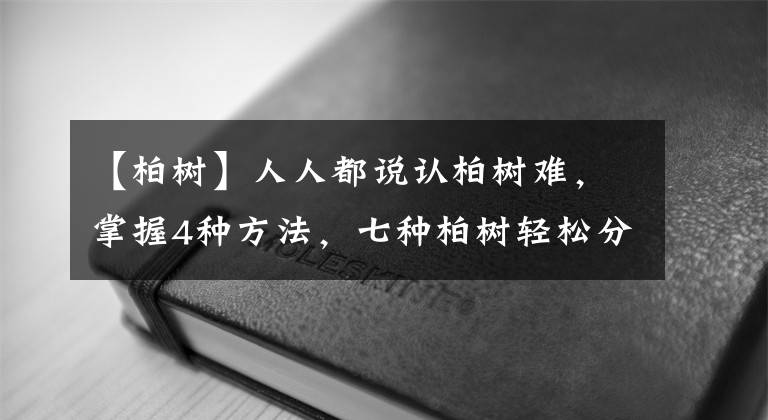 【柏樹】人人都說認柏樹難，掌握4種方法，七種柏樹輕松分辨清楚！