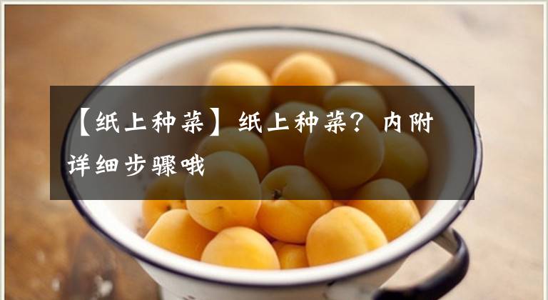 【紙上種菜】紙上種菜？內(nèi)附詳細步驟哦