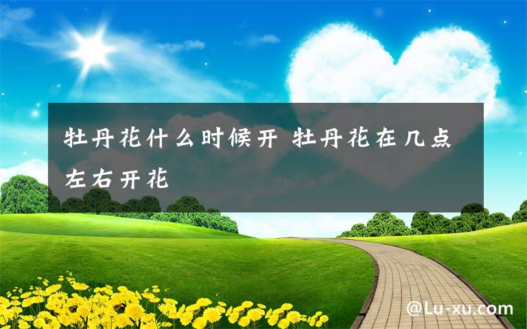 牡丹花什么時(shí)候開(kāi) 牡丹花在幾點(diǎn)左右開(kāi)花