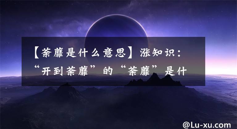 【荼蘼是什么意思】漲知識：“開到荼蘼”的“荼蘼”是什么東西？