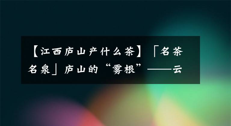 【江西廬山產什么茶】「名茶名泉」廬山的“霧根”——云霧茶