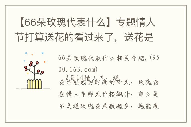 【66朵玫瑰代表什么】專(zhuān)題情人節(jié)打算送花的看過(guò)來(lái)了，送花是有講究的！有種花千萬(wàn)不能送