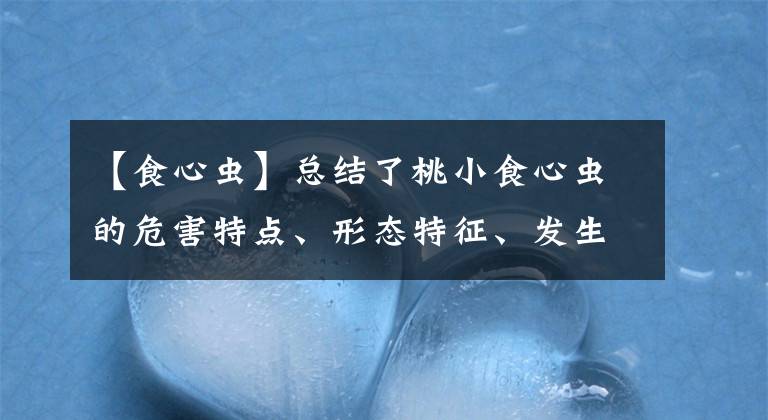 【食心蟲】總結(jié)了桃小食心蟲的危害特點、形態(tài)特征、發(fā)生規(guī)律并提出防控措施