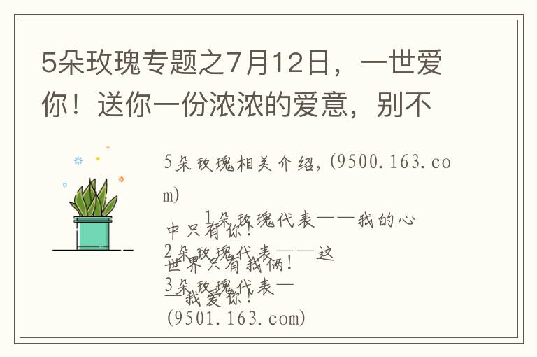 5朵玫瑰專題之7月12日，一世愛(ài)你！送你一份濃濃的愛(ài)意，別不好意思不收下哦