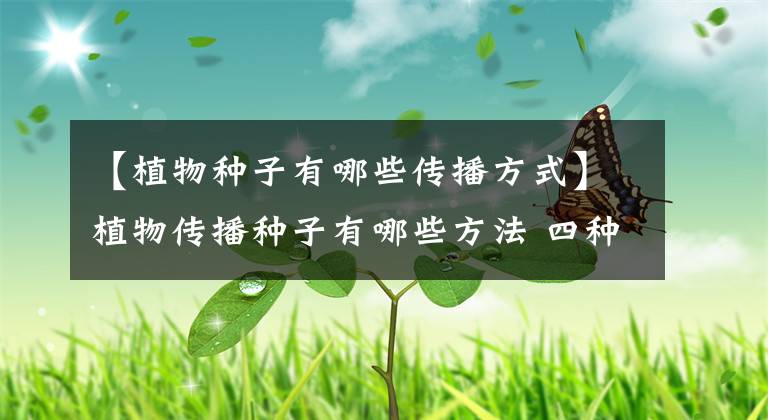 【植物種子有哪些傳播方式】植物傳播種子有哪些方法 四種常見(jiàn)方法介紹