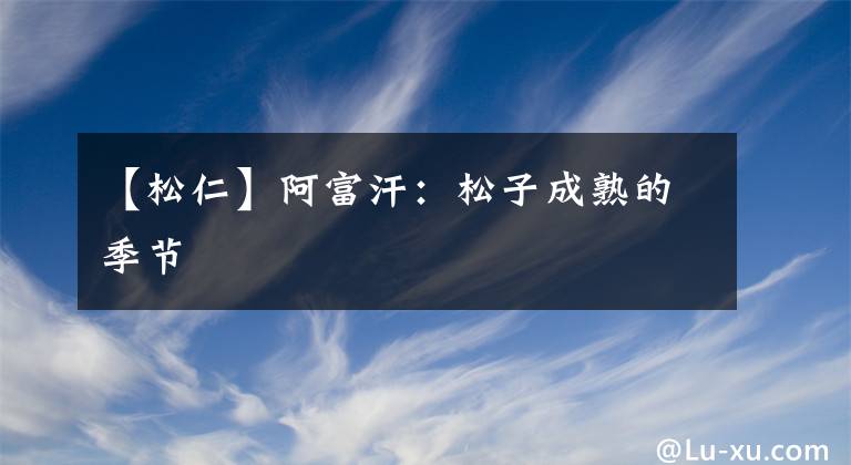 【松仁】阿富汗：松子成熟的季節(jié)