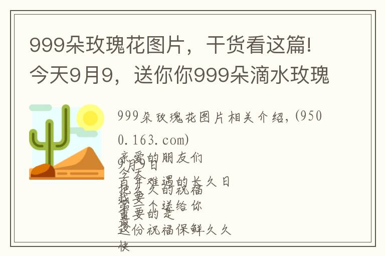 999朵玫瑰花圖片，干貨看這篇!今天9月9，送你你999朵滴水玫瑰，祝你幸福天長(zhǎng)地久，早上好