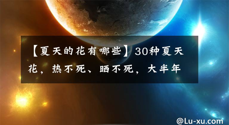 【夏天的花有哪些】30種夏天花，熱不死、曬不死，大半年都開花，還沒病蟲害