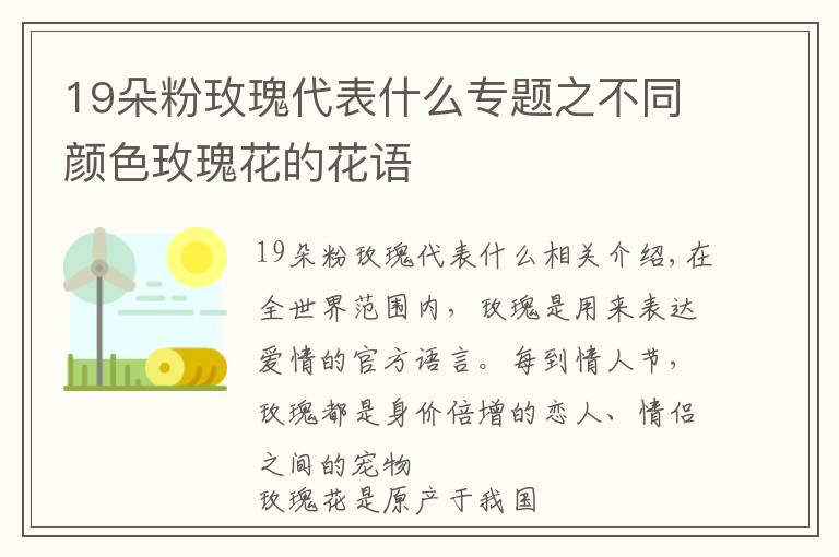 19朵粉玫瑰代表什么專題之不同顏色玫瑰花的花語(yǔ)