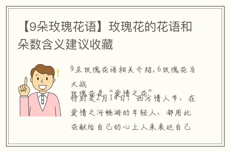 【9朵玫瑰花語】玫瑰花的花語和朵數(shù)含義建議收藏