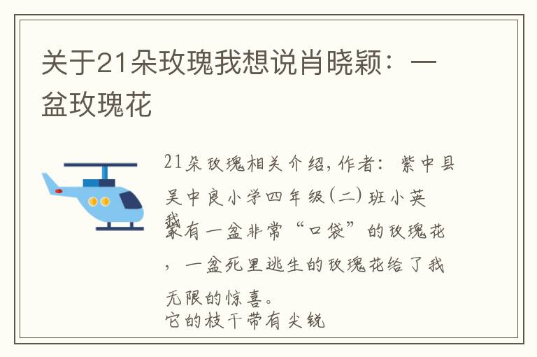 關(guān)于21朵玫瑰我想說肖曉穎：一盆玫瑰花