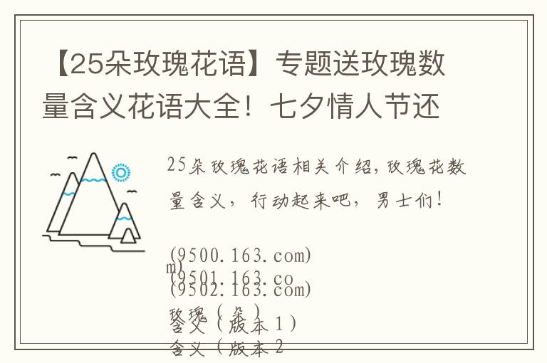 【25朵玫瑰花語】專題送玫瑰數(shù)量含義花語大全！七夕情人節(jié)還在為送幾朵玫瑰而苦惱嗎？