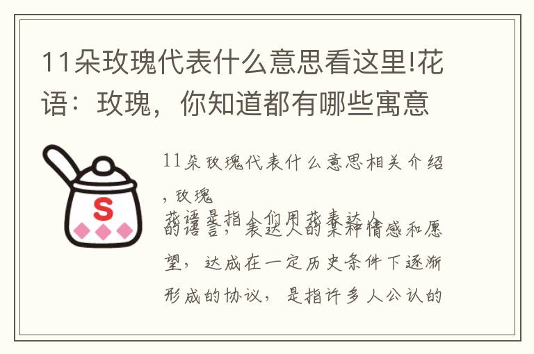 11朵玫瑰代表什么意思看這里!花語(yǔ)：玫瑰，你知道都有哪些寓意嗎？