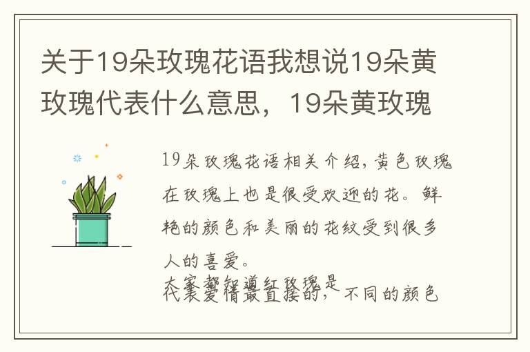 關(guān)于19朵玫瑰花語(yǔ)我想說(shuō)19朵黃玫瑰代表什么意思，19朵黃玫瑰花語(yǔ)是什么（為愛(ài)道歉）