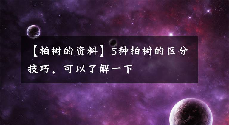 【柏樹的資料】5種柏樹的區(qū)分技巧，可以了解一下