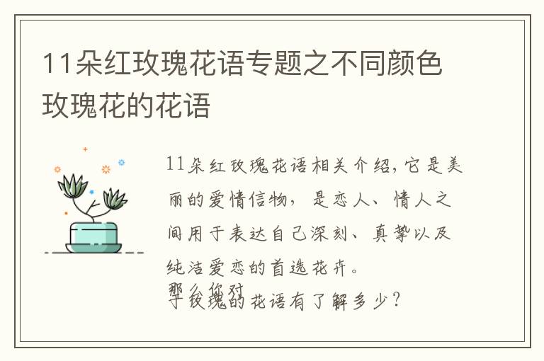 11朵紅玫瑰花語專題之不同顏色玫瑰花的花語