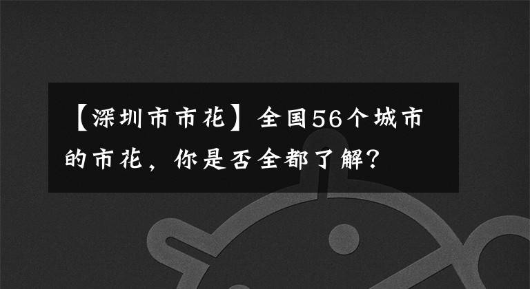 【深圳市市花】全國56個城市的市花，你是否全都了解？