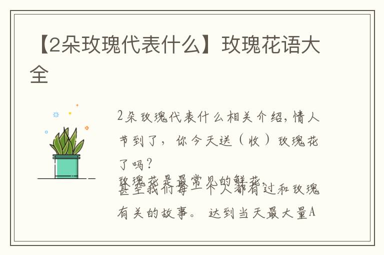 【2朵玫瑰代表什么】玫瑰花語大全