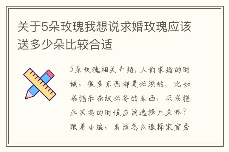 關(guān)于5朵玫瑰我想說求婚玫瑰應(yīng)該送多少朵比較合適