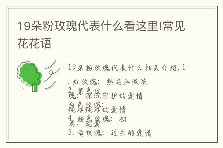 19朵粉玫瑰代表什么看這里!常見花花語