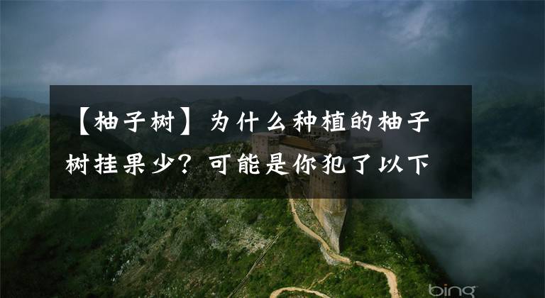 【柚子樹】為什么種植的柚子樹掛果少？可能是你犯了以下這個(gè)錯(cuò)誤的管理方法