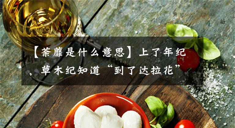 【荼蘼是什么意思】上了年紀(jì)，草木紀(jì)知道“到了達(dá)拉花”，但你知道達(dá)拉是什么花嗎？