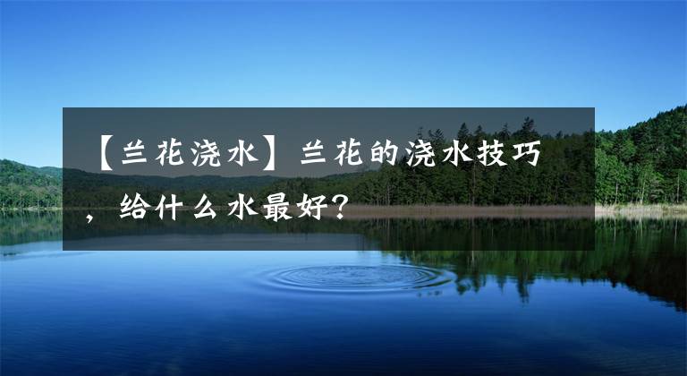 【蘭花澆水】蘭花的澆水技巧，給什么水最好？