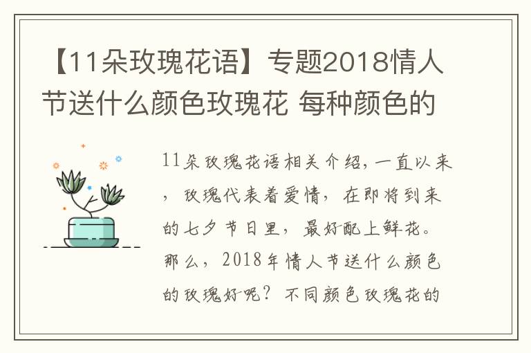 【11朵玫瑰花語】專題2018情人節(jié)送什么顏色玫瑰花 每種顏色的寓意