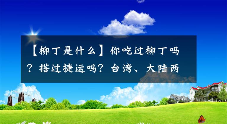 【柳丁是什么】你吃過柳丁嗎？搭過捷運(yùn)嗎？臺灣、大陸兩岸詞匯大不同