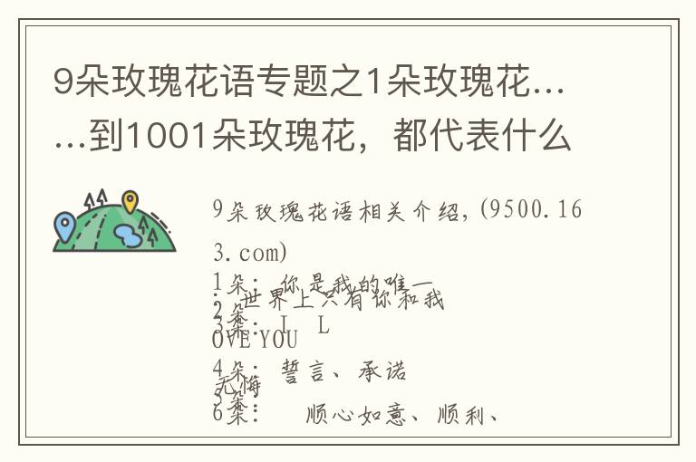 9朵玫瑰花語專題之1朵玫瑰花……到1001朵玫瑰花，都代表什么，你知道嗎？