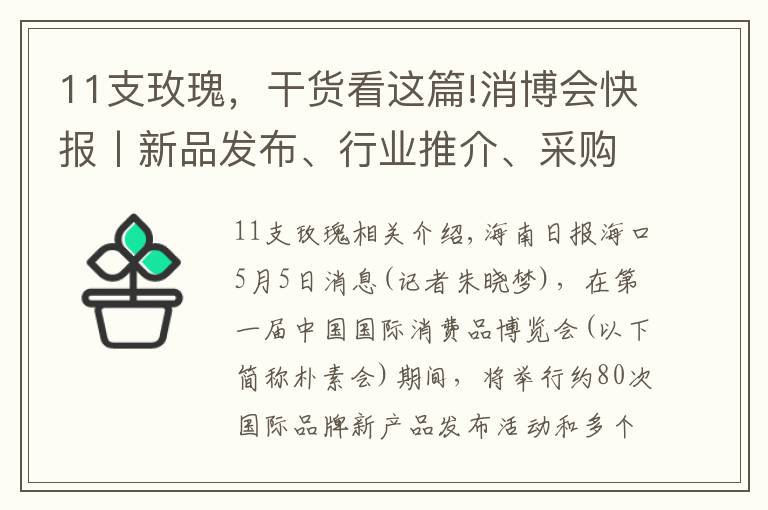 11支玫瑰，干貨看這篇!消博會快報丨新品發(fā)布、行業(yè)推介、采購對接…… 多樣活動輪番開展