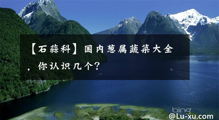 【石蒜科】國內(nèi)蔥屬蔬菜大全，你認(rèn)識幾個？