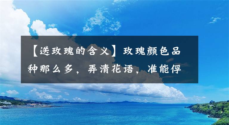 【送玫瑰的含義】玫瑰顏色品種那么多，弄清花語，準(zhǔn)能俘獲妹子心